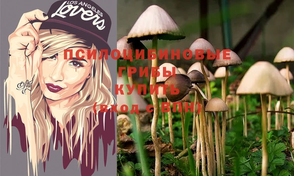 mdpv Алзамай
