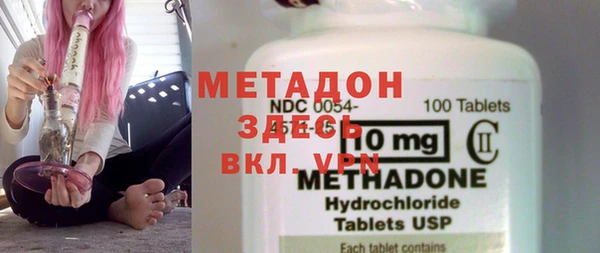 прущие грибы Алексеевка