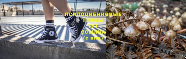 прущие грибы Алексеевка