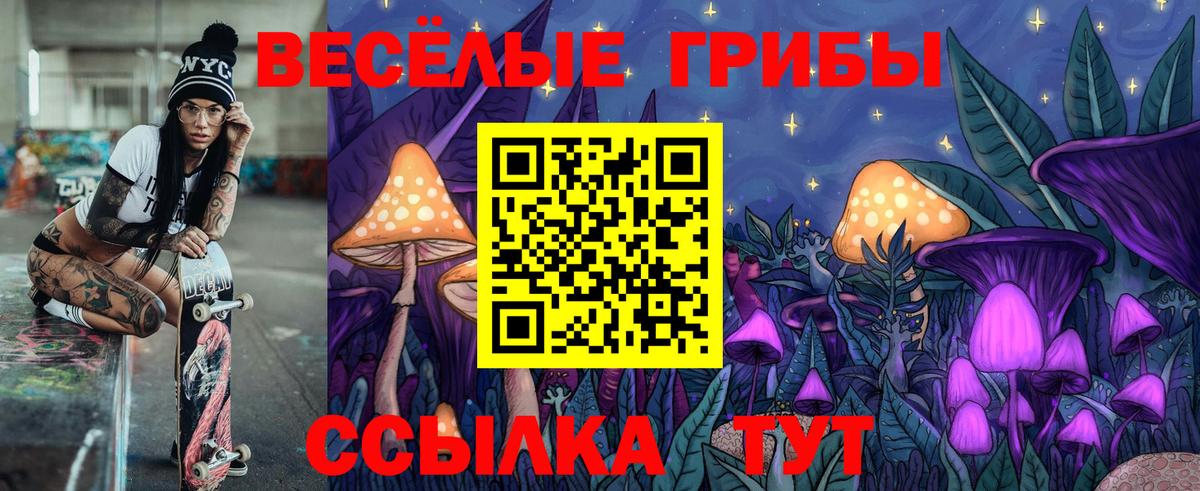 Галлюциногенные грибы прущие грибы  сколько стоит  Кольчугино  Вход с VPN 
